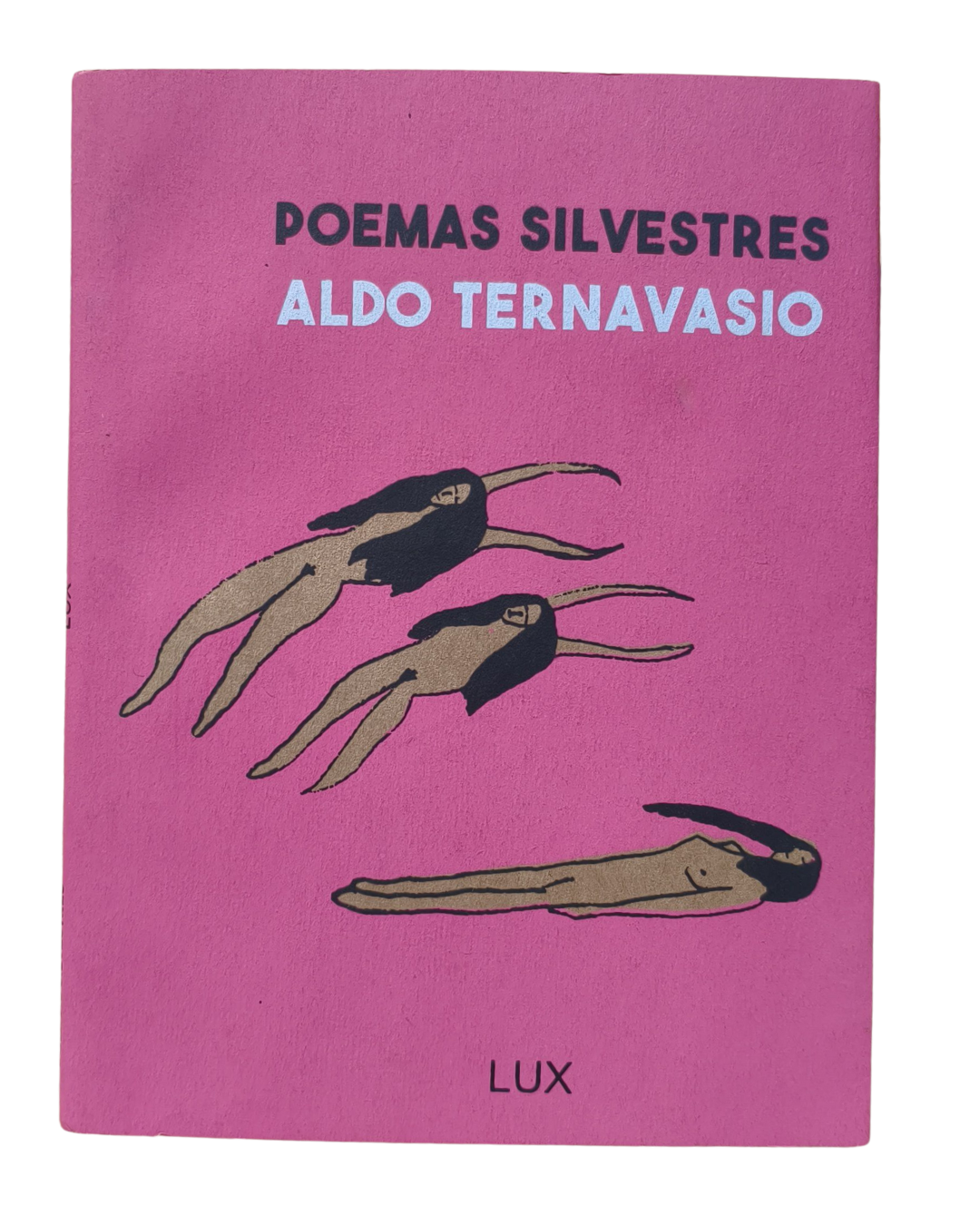 Poemas silvestres de Aldo Ternavasaio