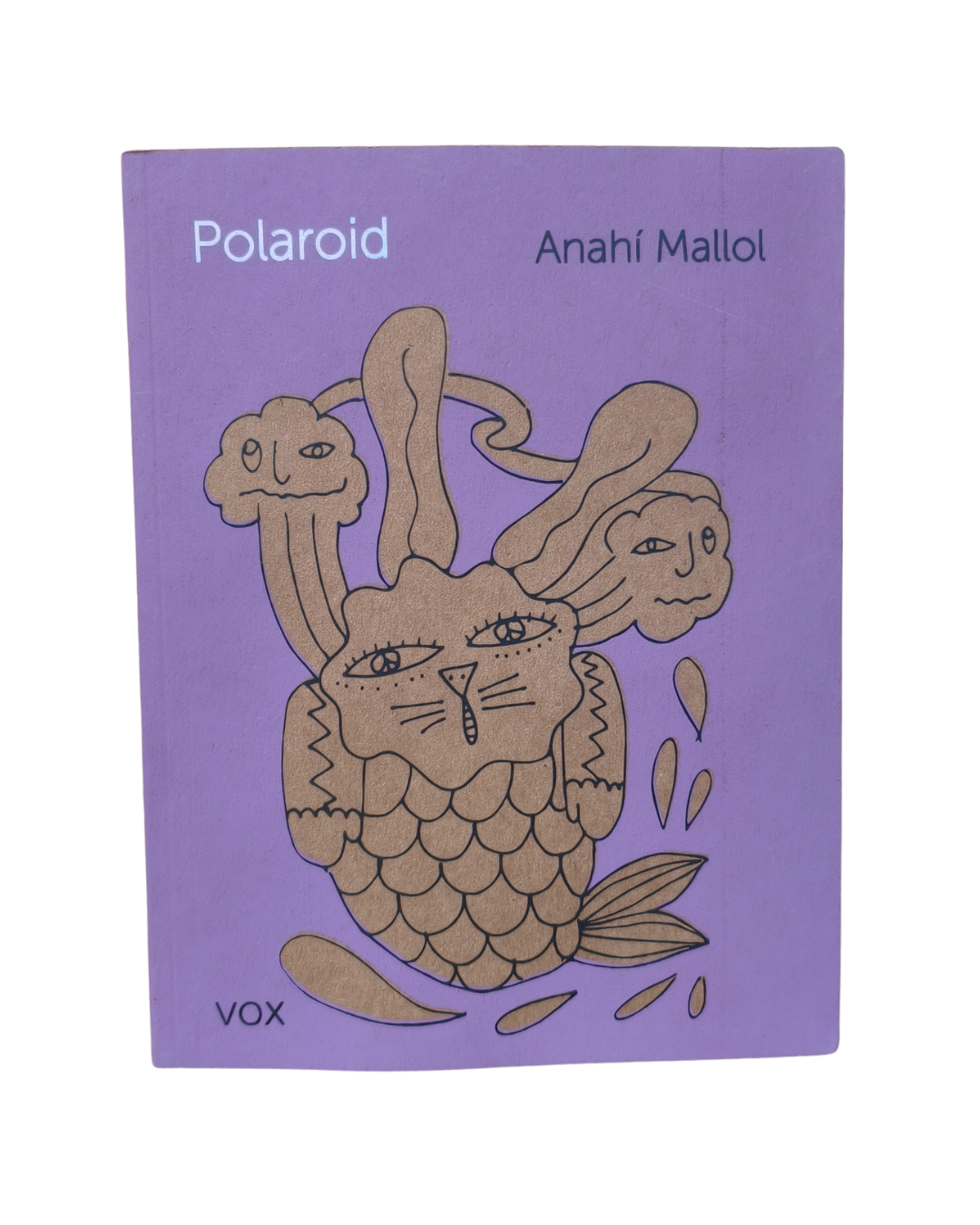 Polaroid de Anahí Mallol