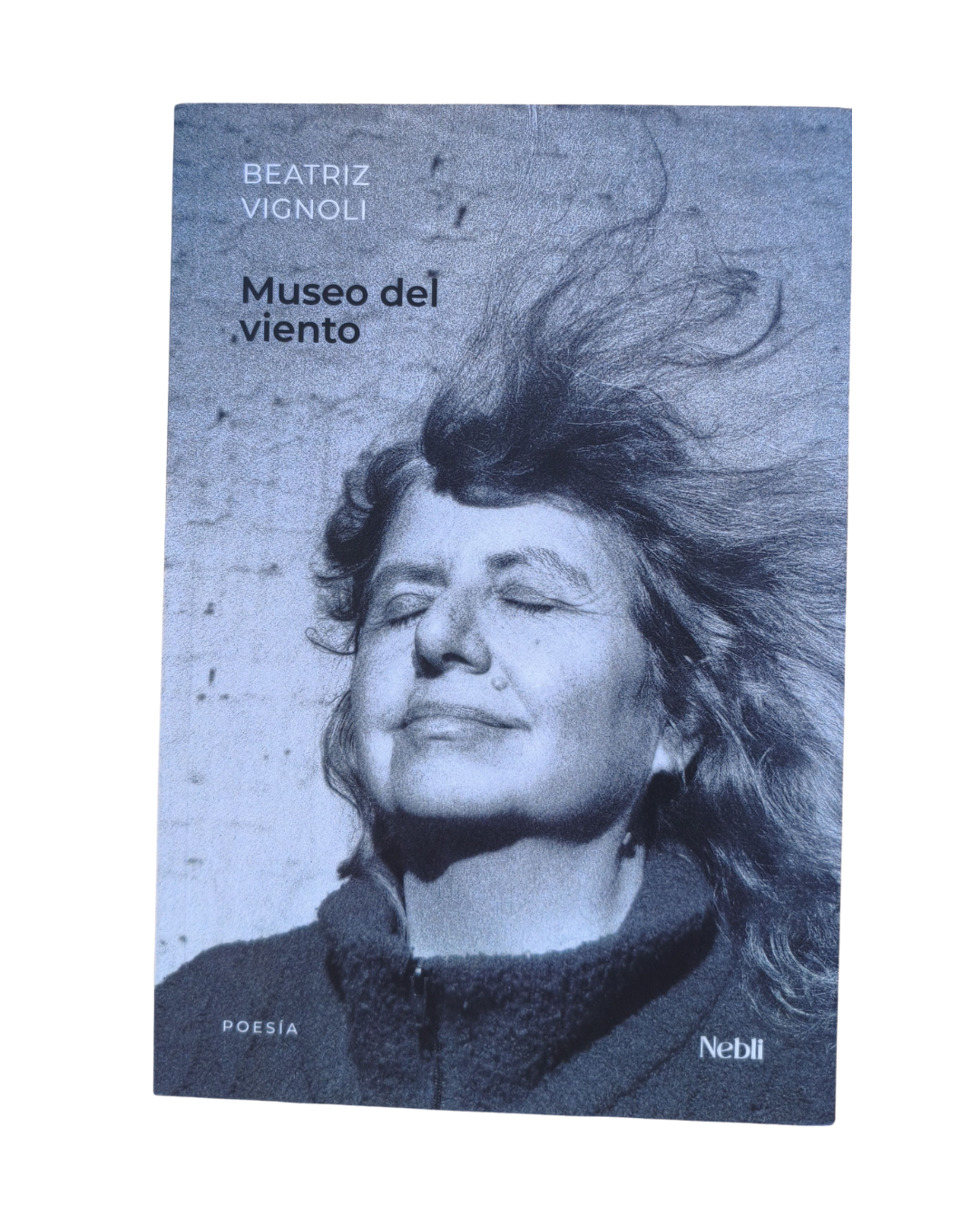 Museo del viento de Beatriz Vignoli