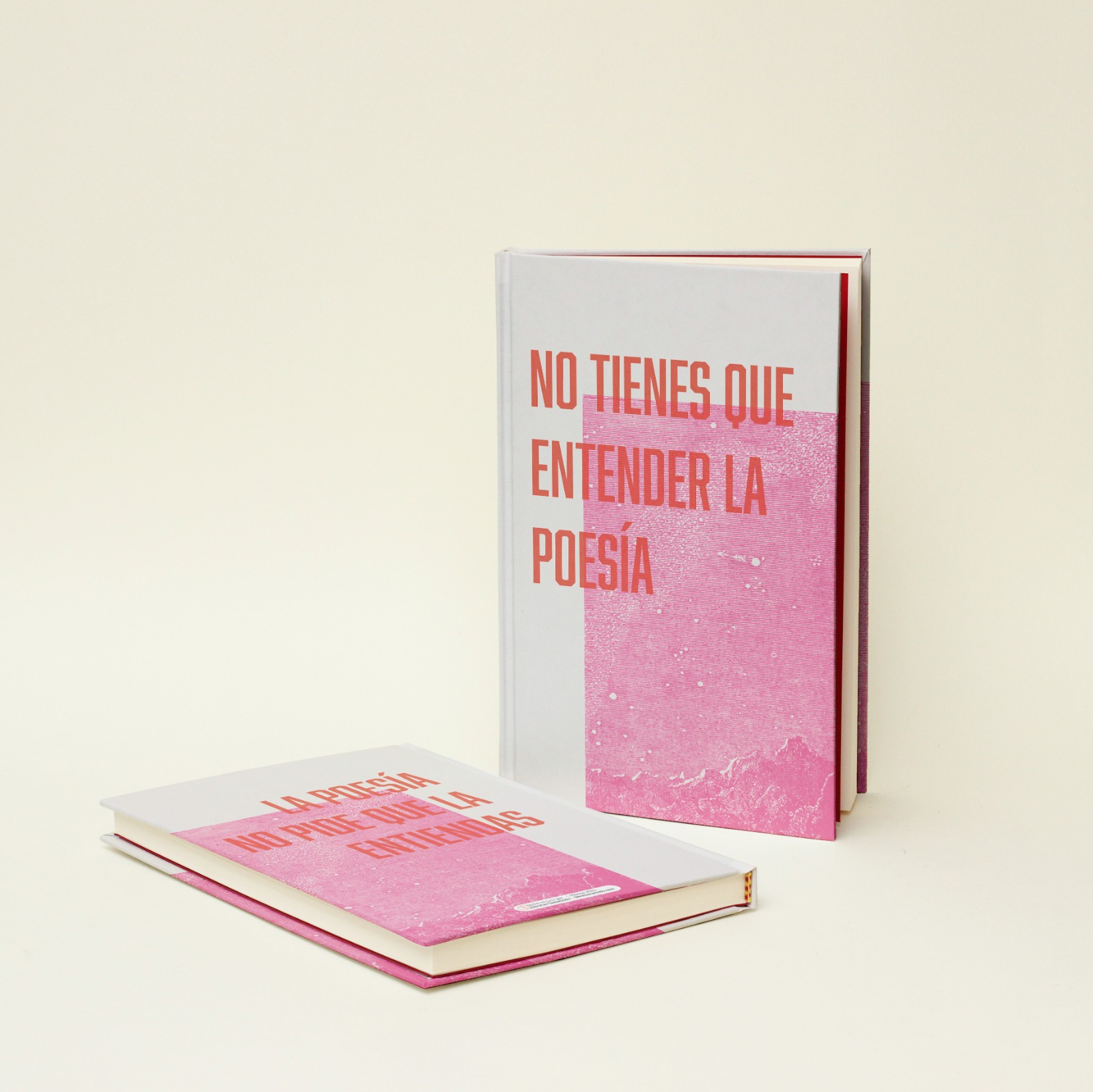 Libreta: No tienes que entender la poesía - Blanca Rosa